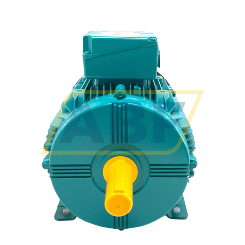 WP-DA160MMB3- Brook Crompton