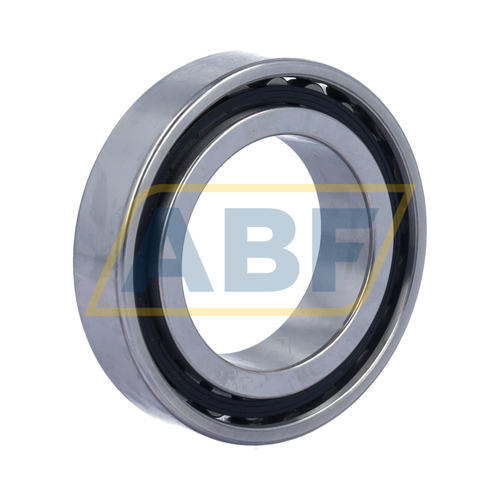 N1008-D-K-TVP-SP-XL FAG