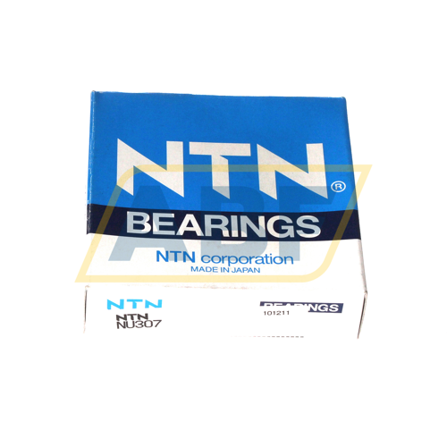 NU307 NTN