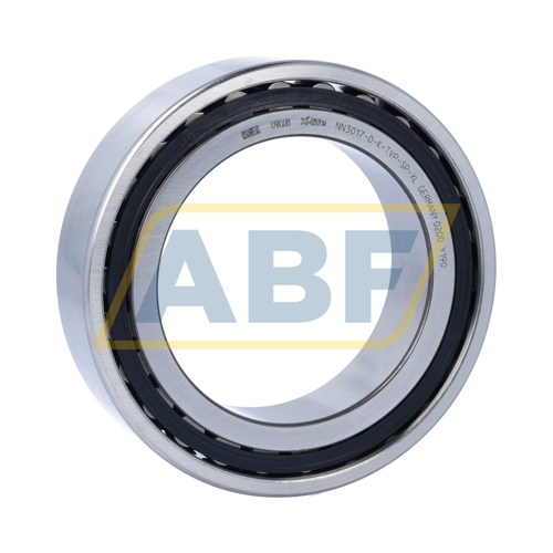 NN3017-D-K-TVP-SP-XL FAG