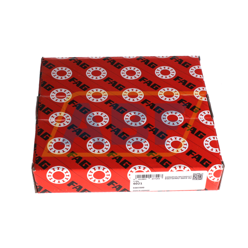 6021 FAG
