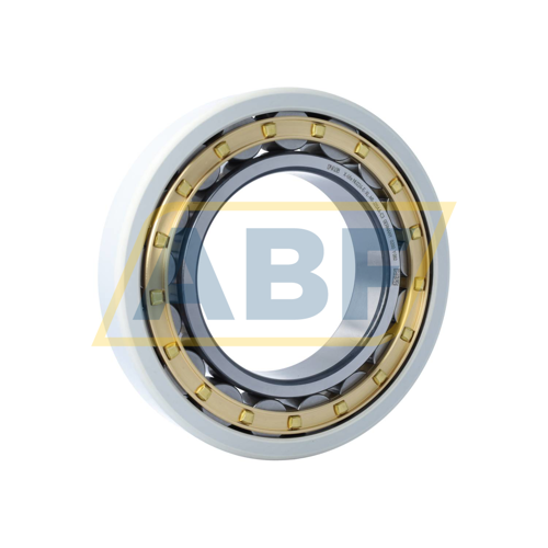 NU224-E-XL-M1-J20AA-C3 FAG