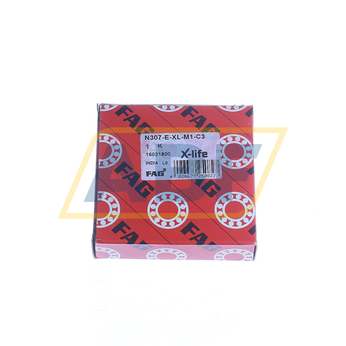 N307-E-XL-M1-C3 FAG