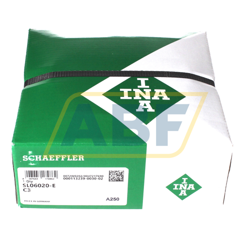 SL06020-E-C3 INA