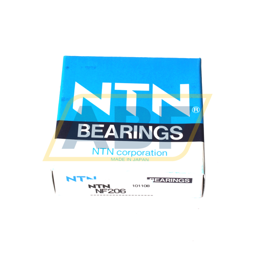 NF206 NTN