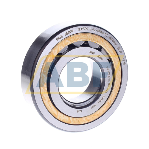 NUP309-E-XL-MPAX-C3 FAG