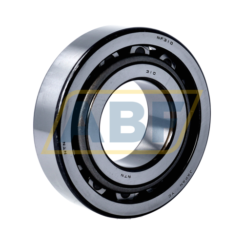 NF310 NTN