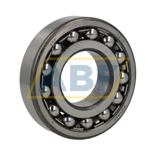 1310 SKF
