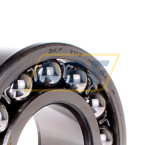 2313 SKF