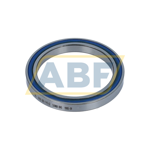 61810-2RZ-Y-P5-C2 FAG