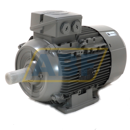 1LE1003-1CB02-2AA4 Siemens