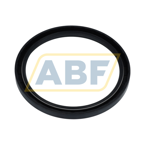 SC100X120X10 NAK Sealing Technologies