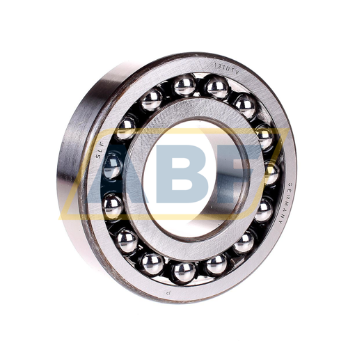 1310TV SLF Fraureuth