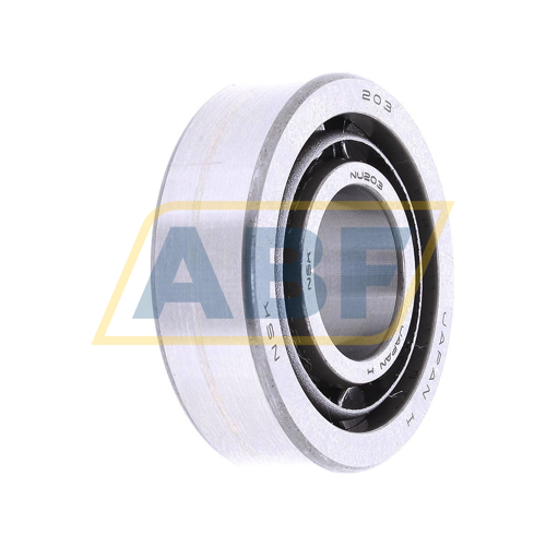 NU203 NSK
