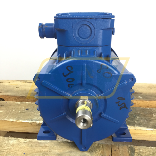 A4C0813A00017 Marelli Motori