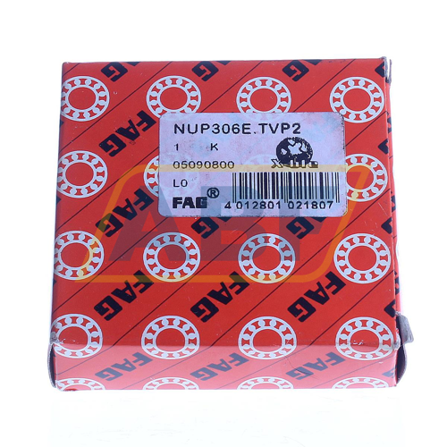 NUP306-E-TVP2 FAG