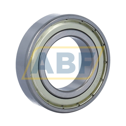 6006ZZ BGR