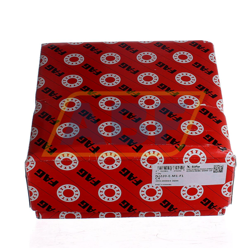 NJ220-E-M1-F1-C4 FAG