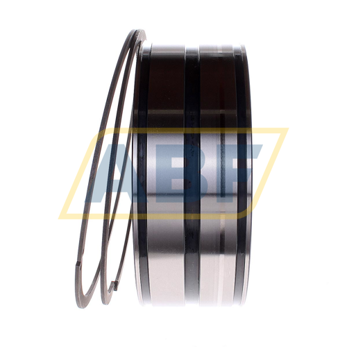 SL04150-D-PP-2NR INA