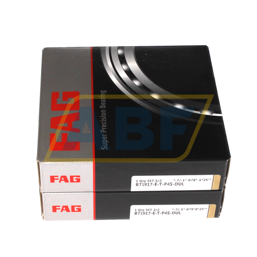 B71917-E-T-P4S-DUL FAG