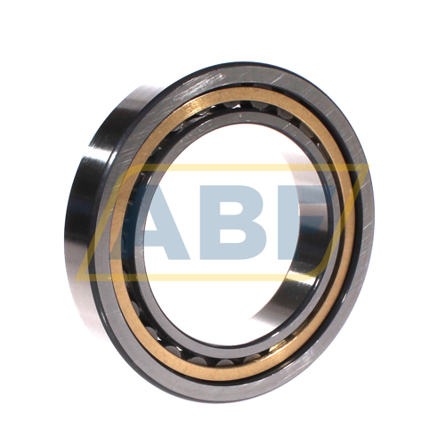 NU1018-XL-M1-F1-C4 FAG