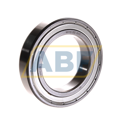 6010-ZZ Timken