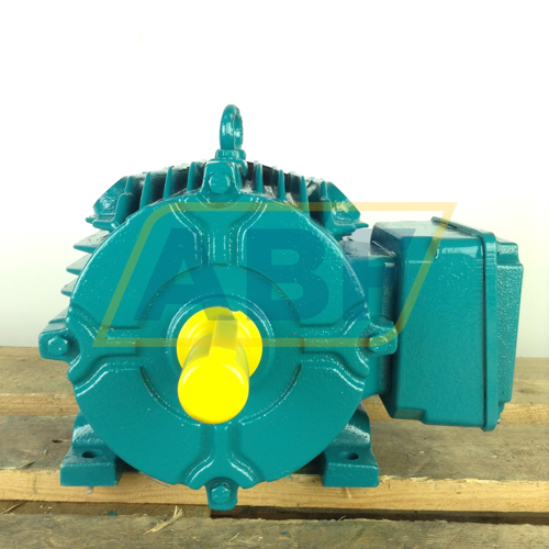 W-DF100LJ-B3 Brook Crompton