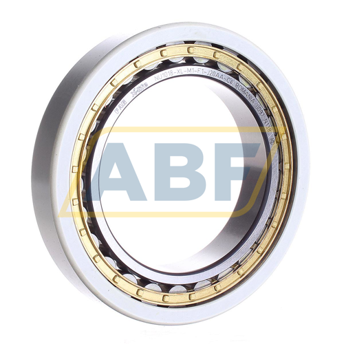 NU1018-XL-M1-F1-J20AA-C4 FAG