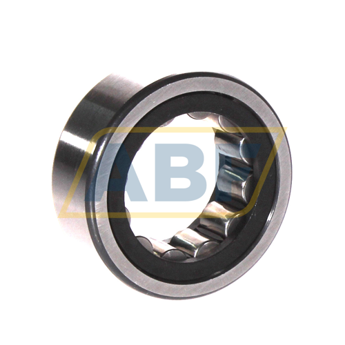 RNU2204-E-XL-TVP2 FAG