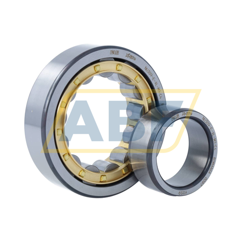 NU309-E-XL-M1-C4 FAG