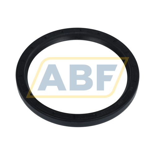 SC100X120X10 NAK Sealing Technologies