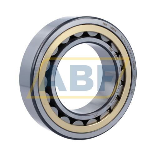 NJ2216-E-XL-MPAX-C3 FAG