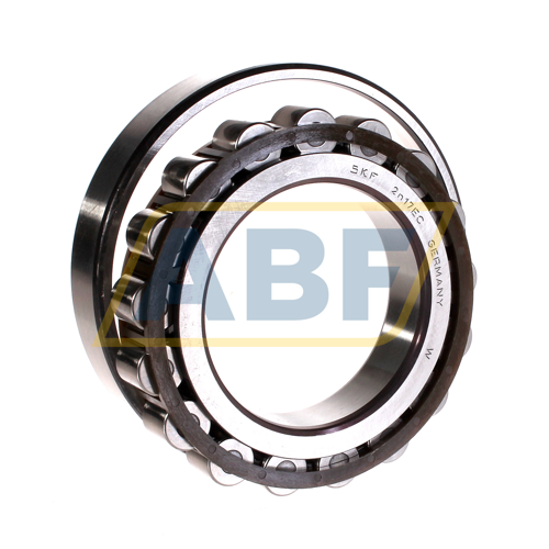 N217ECP SKF