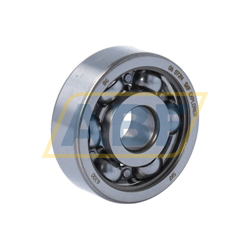 6300 SKF