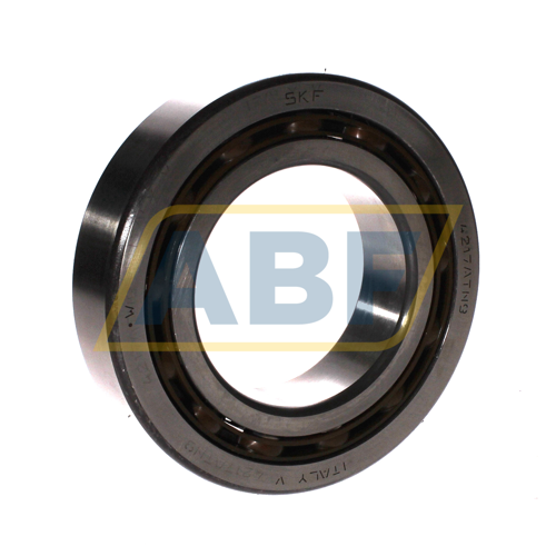 4217ATN9 SKF