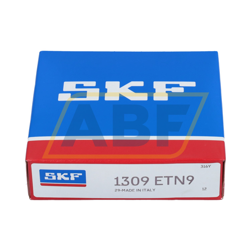 1309ETN9 SKF