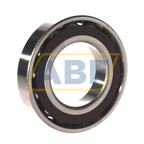 431880T/P6 SKF