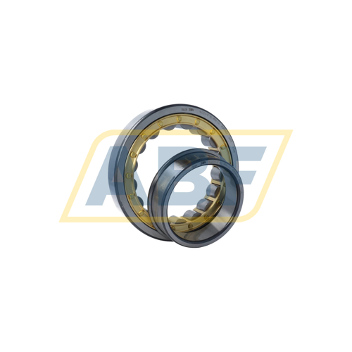 NJ220-E-XL-M1A-C4 FAG