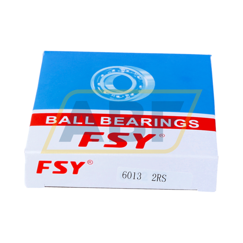 6013 2RS FSY