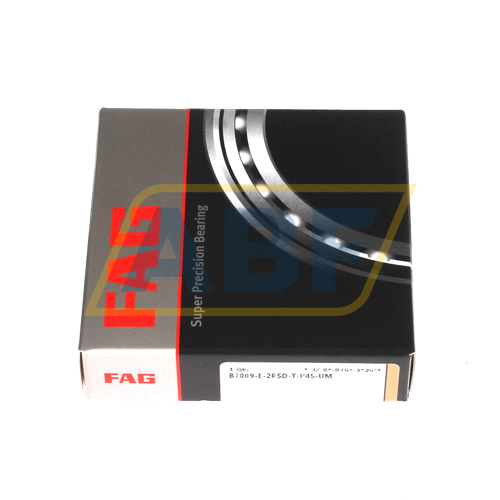 B7009-E-2RSD-T-P4S-UM FAG