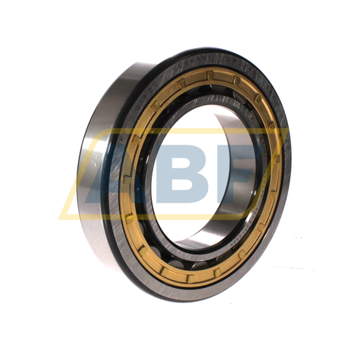 NU219ECM SKF
