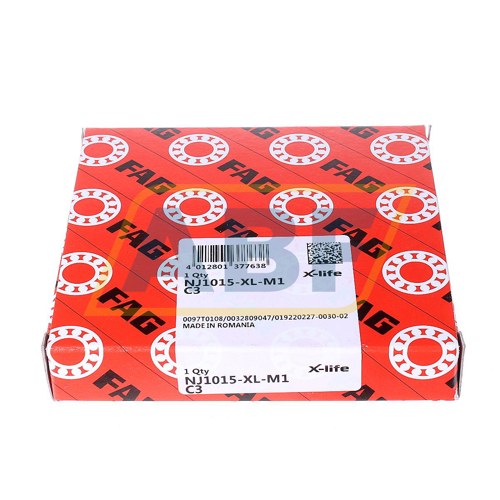NJ1015-XL-M1-C3 FAG