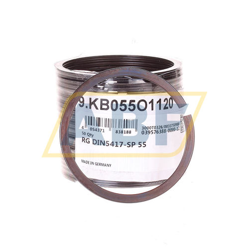RGDIN5417-SP55 FAG