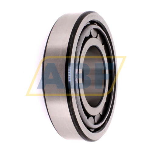 30313J2 SKF