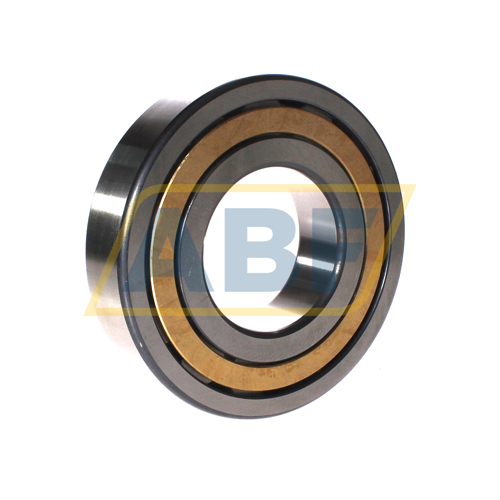 NJ315-E-XL-M1-C4 FAG