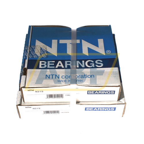N319 NTN