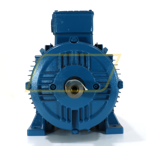 11K32AL3160M/L2B3 WEG