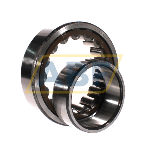 NU2219ECP/C3 SKF