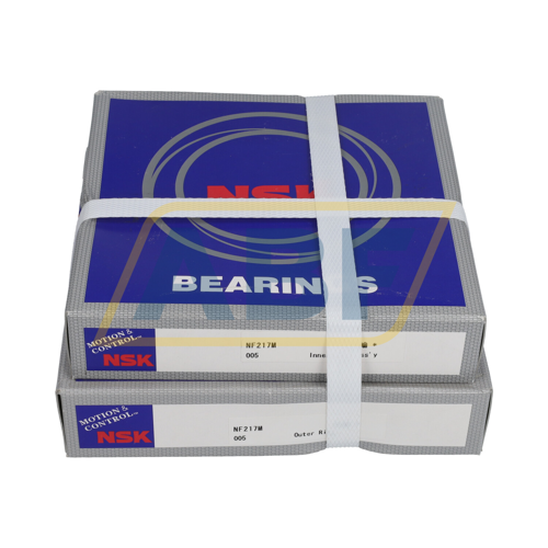 NF217M NSK