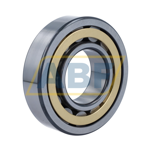 NU311-E-XL-M1-F1-C4 FAG